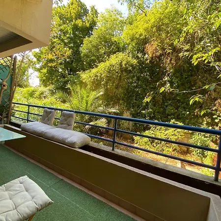 With Terrace Near * Nice